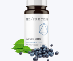 GlucoBerry - Premium Blood Sugar Support Supplement