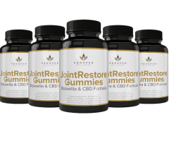 How to Compare Supplements for Joint Support: Essential Factors