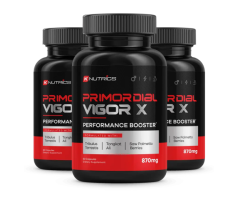 Primordial Vigor X - Boost Energy and Stamina