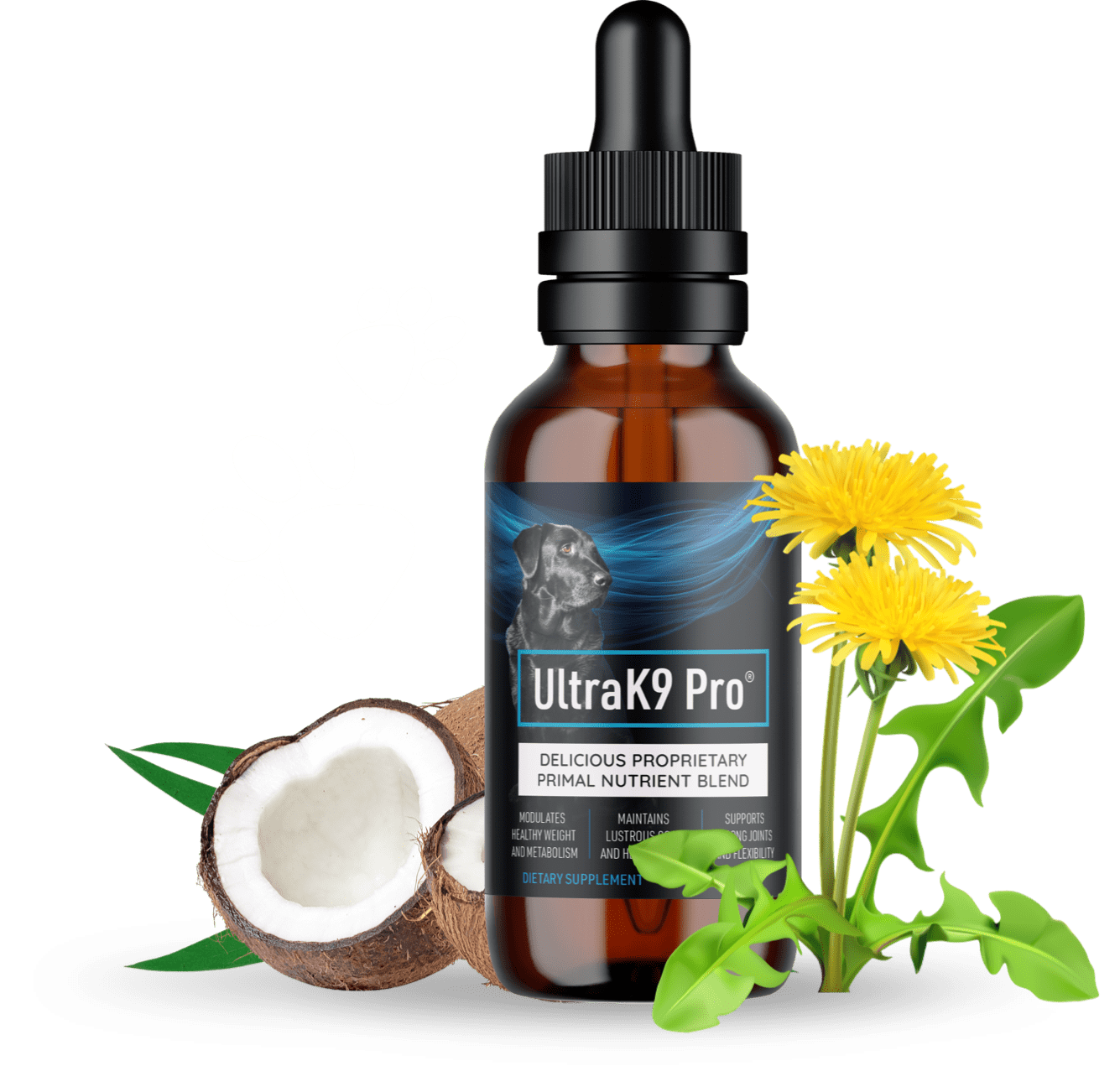 UltraK9 Pro – Premium Supplement for Active Dogs